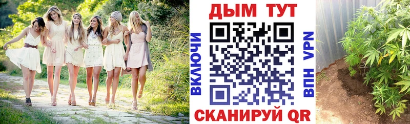Шишки марихуана VHQ продажа наркотиков площадка официальный сайт Георгиевск